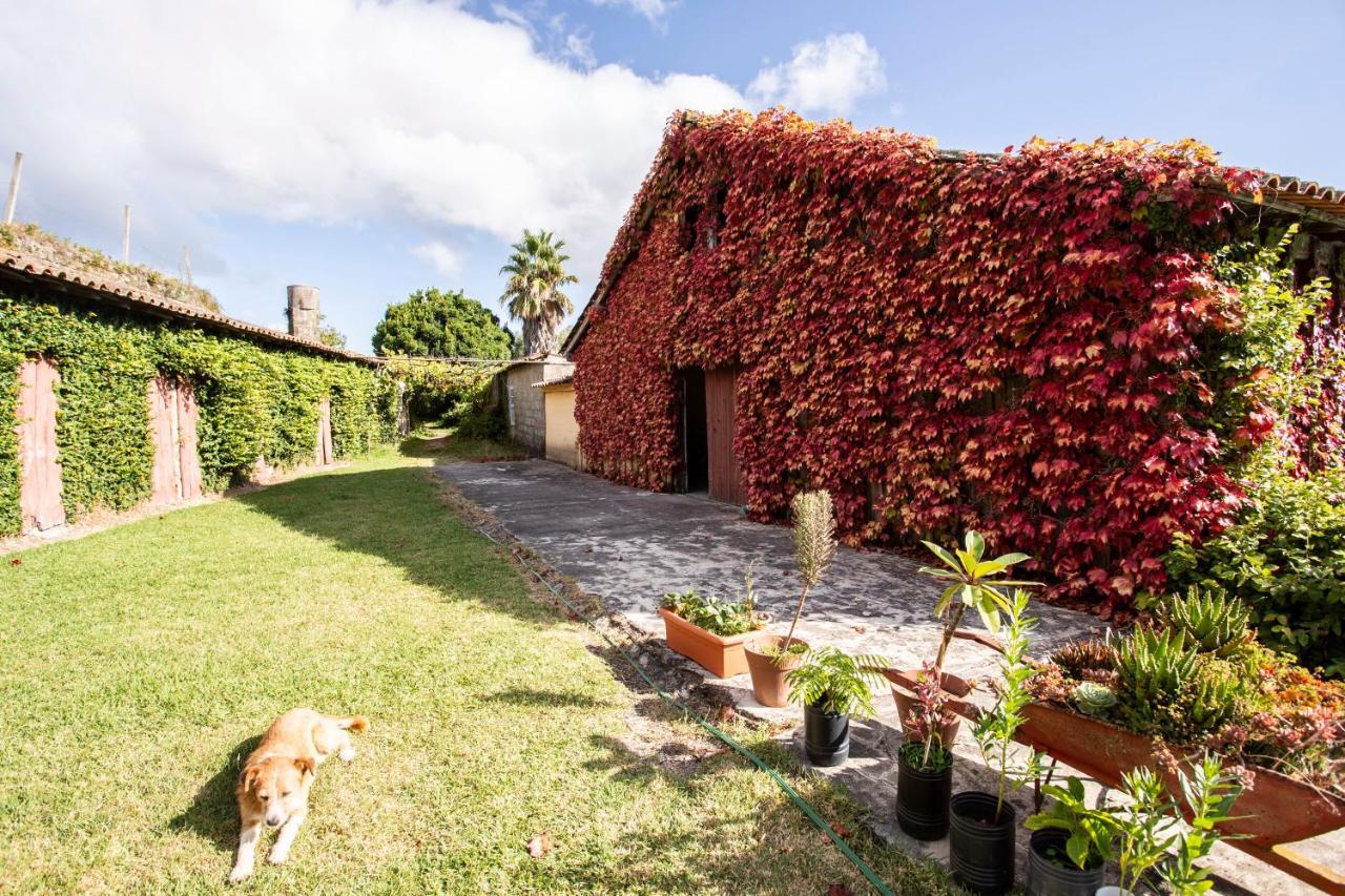 بونتي دي ليما Casa Da Varzea المظهر الخارجي الصورة